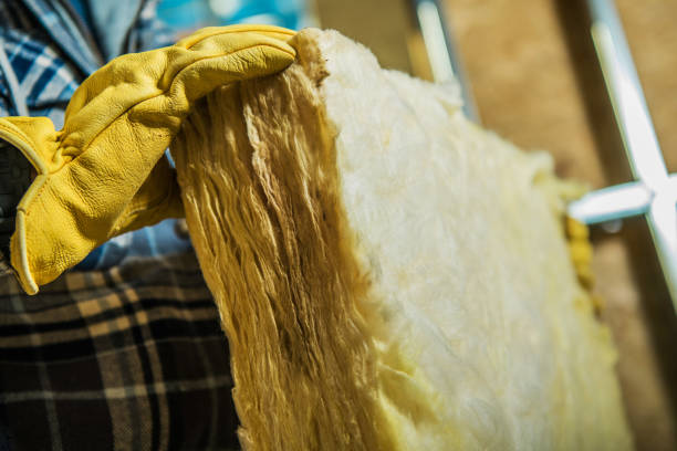 Best Specialized Insulation Services in Fortuna Foothills, AZ