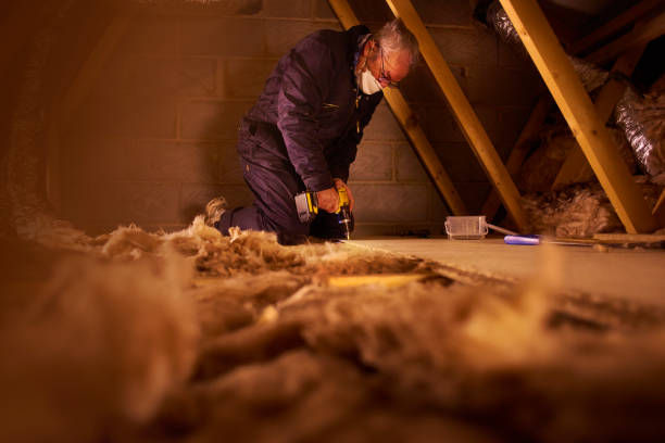 Best Insulation Maintenance and Repair in Fortuna Foothills, AZ